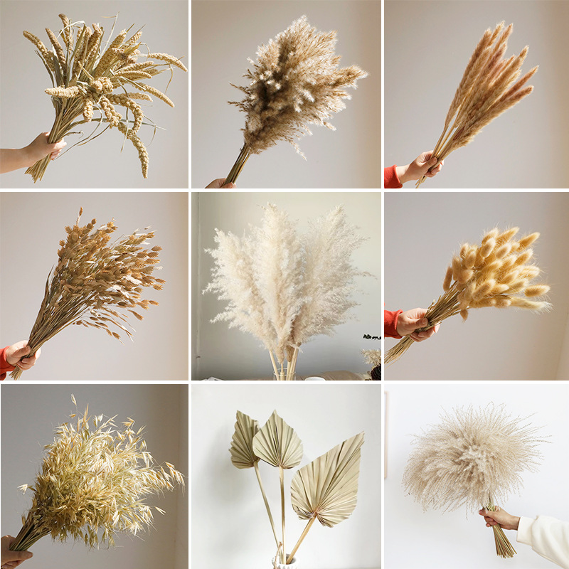 Home Bathroom Exhaust Fan - Wabi-sabi Dried Flowers Natural Reed Real