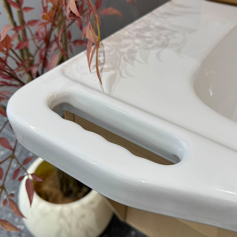 Barrier Free Bathroom Vanity S - đánh giá và giá Home Bathroom Cabinets
