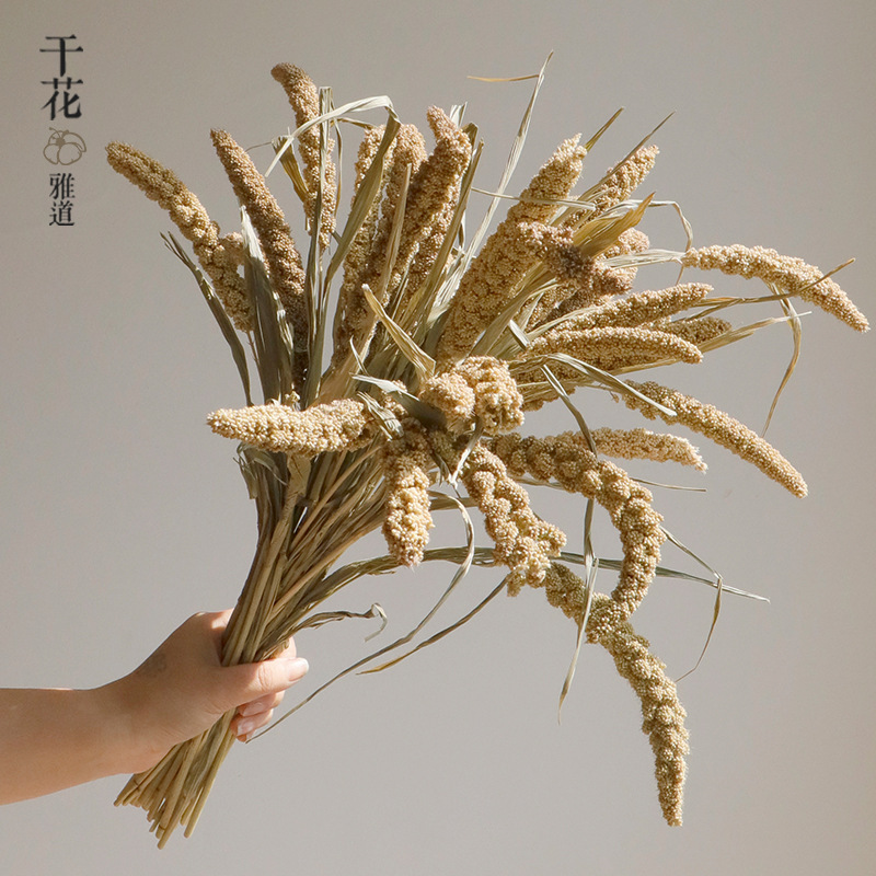 Wabi-sabi Dried Flowers Natura - đánh giá và giá Home Bathroom Exhaust Fan