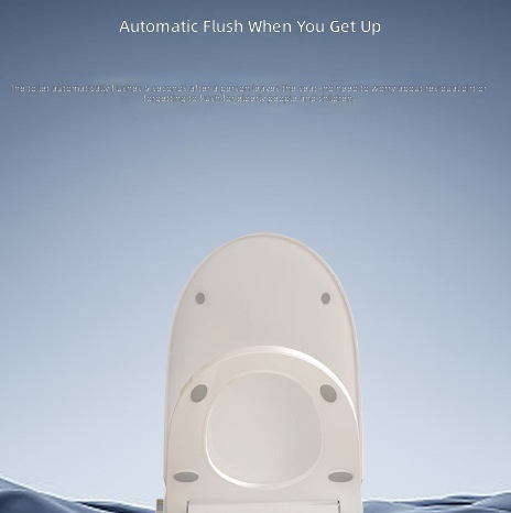 Heated Smart Toilet Seat, Auto - đánh giá và giá Home Bathroom Upgrades